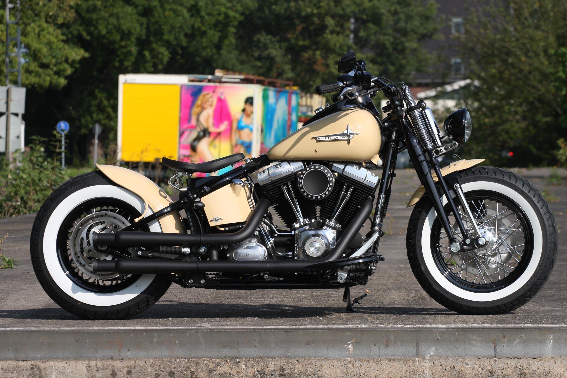 Softail Springer Harley Davidson чоппер