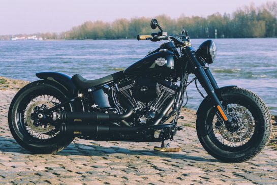 Thunderbike Oldstyle • H-D Softail Slim FLS Custom Springer Bobber