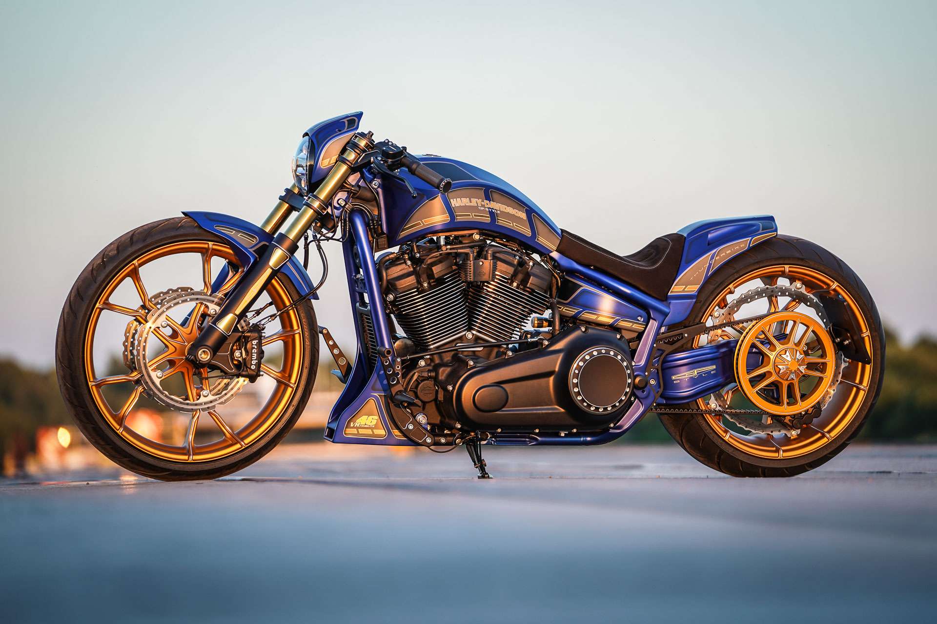 Custom Bike