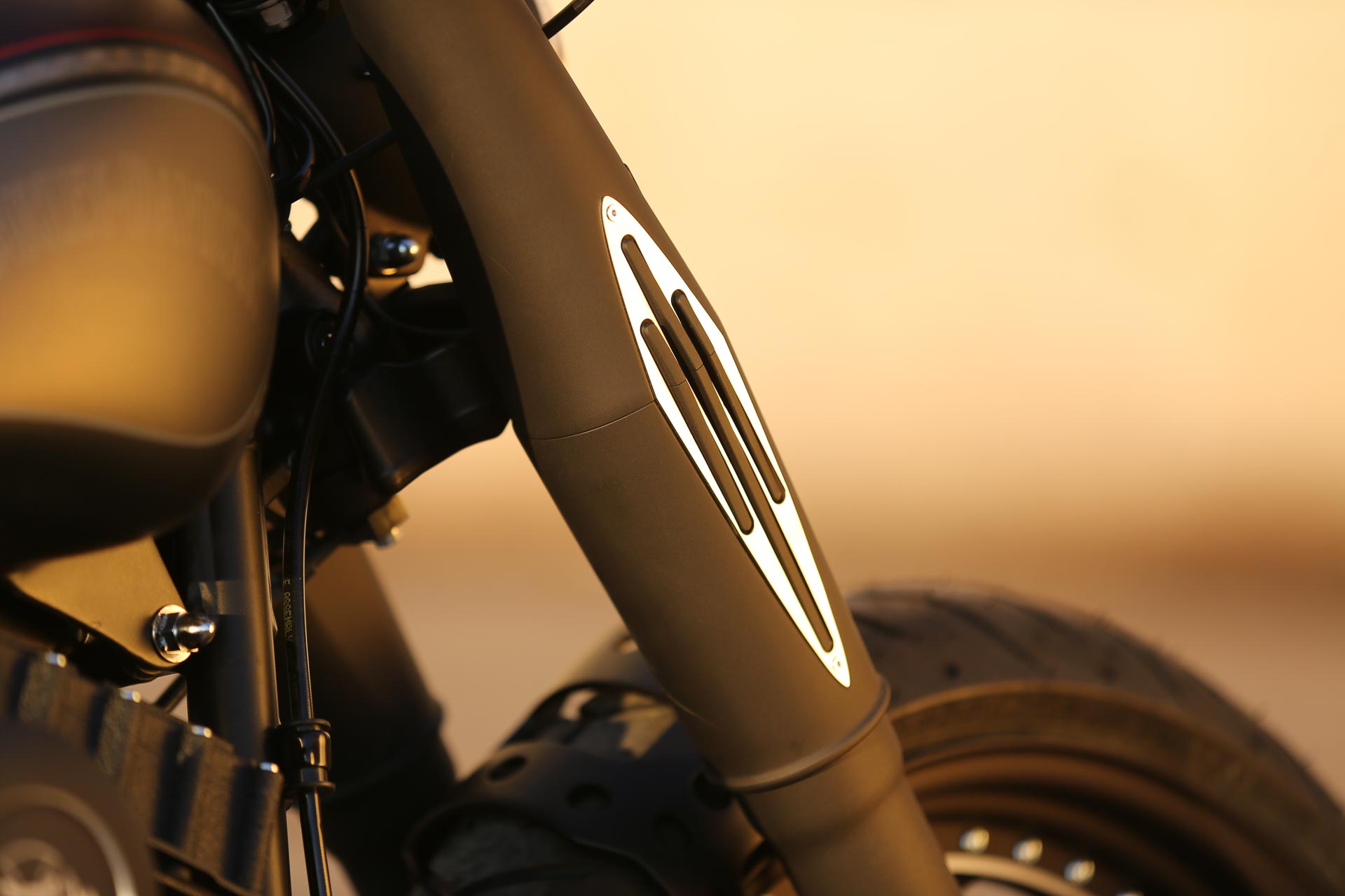 Thunderbike Project 2 • H-D Softail Slim FLS Custom Motorcycle