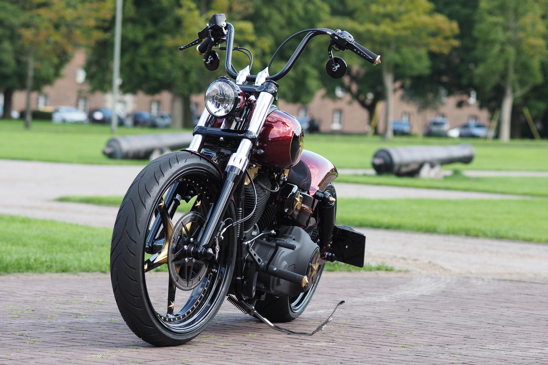 Thunderbike Lady • H-D Street Bob FXDB Custom Motorcycle