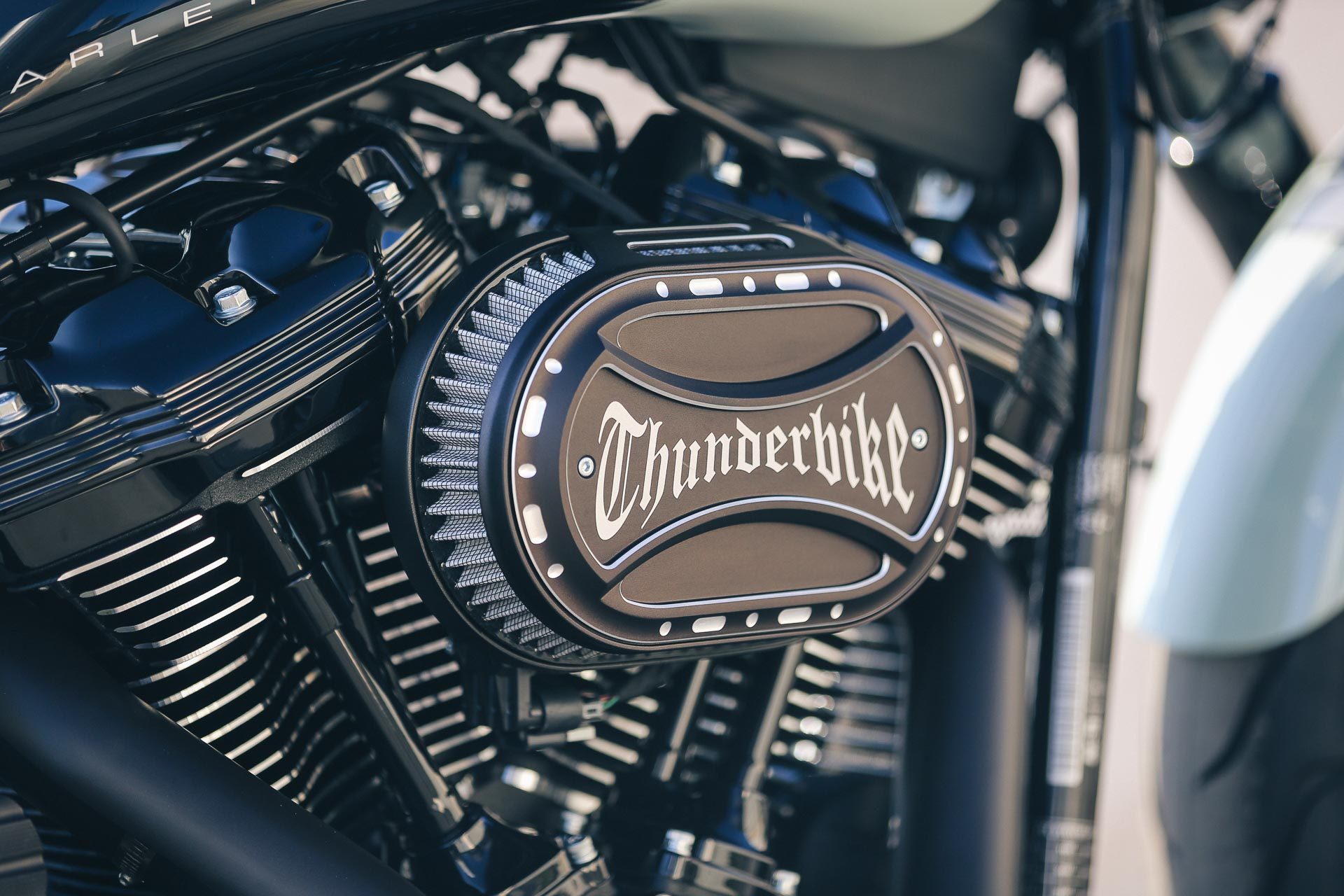 Custom Air Cleaner for H-D and Metric by Thunderbike