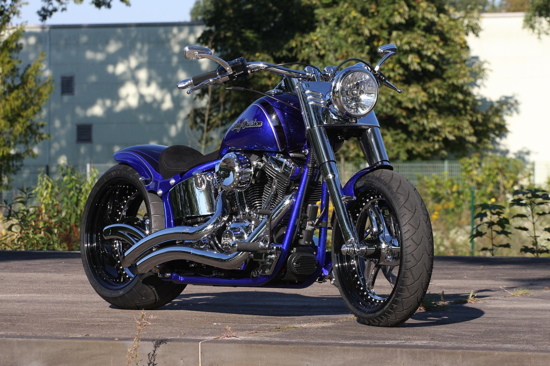 HD Softail fat boy