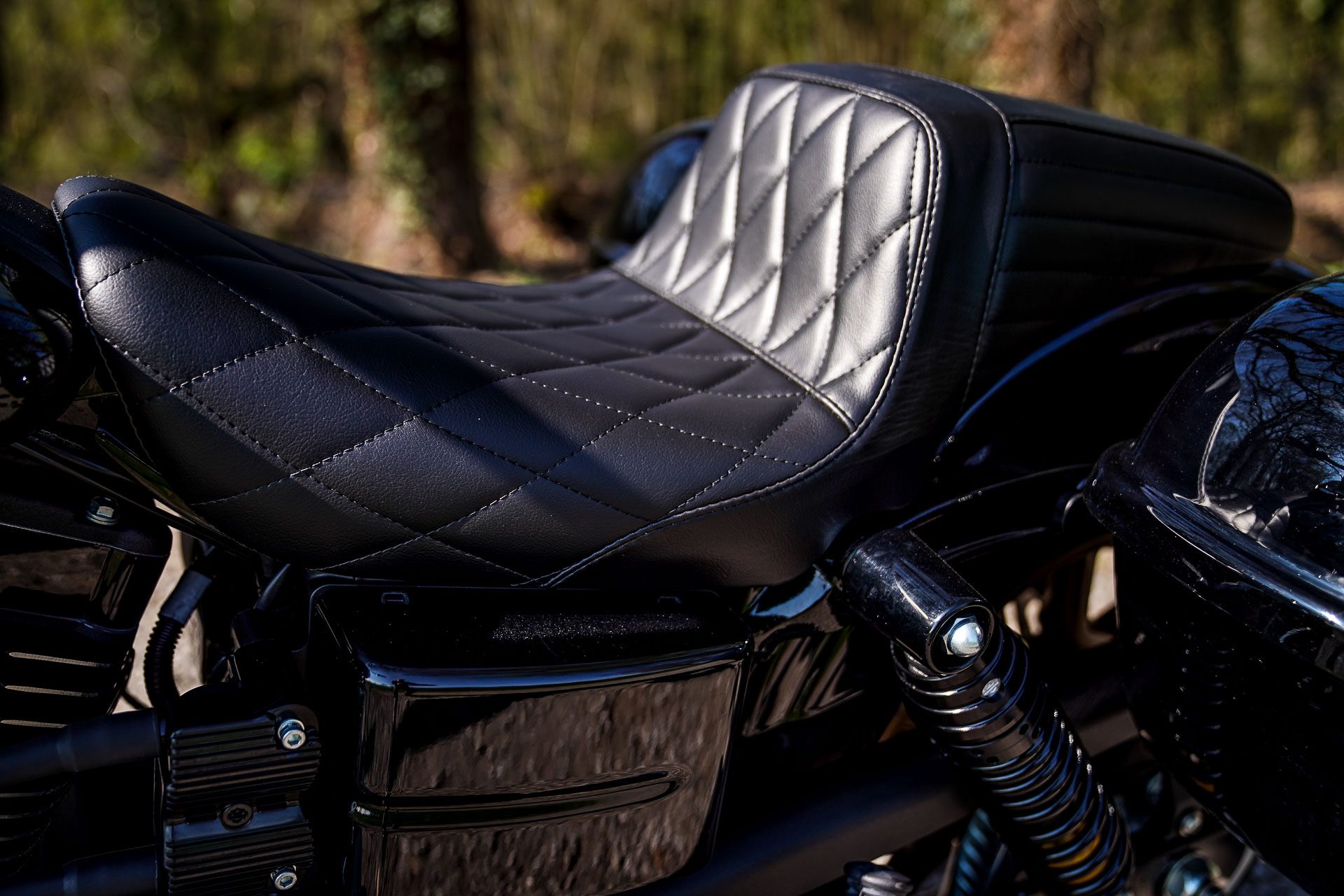 Thunderbike Johnny Black • Custom H-D Dyna Low Rider S FXDLS 110cui