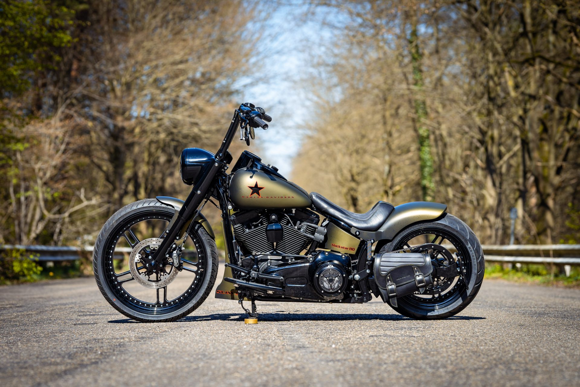 Thunderbike black star 110 • customized Harley-Davidson Softail Slim S