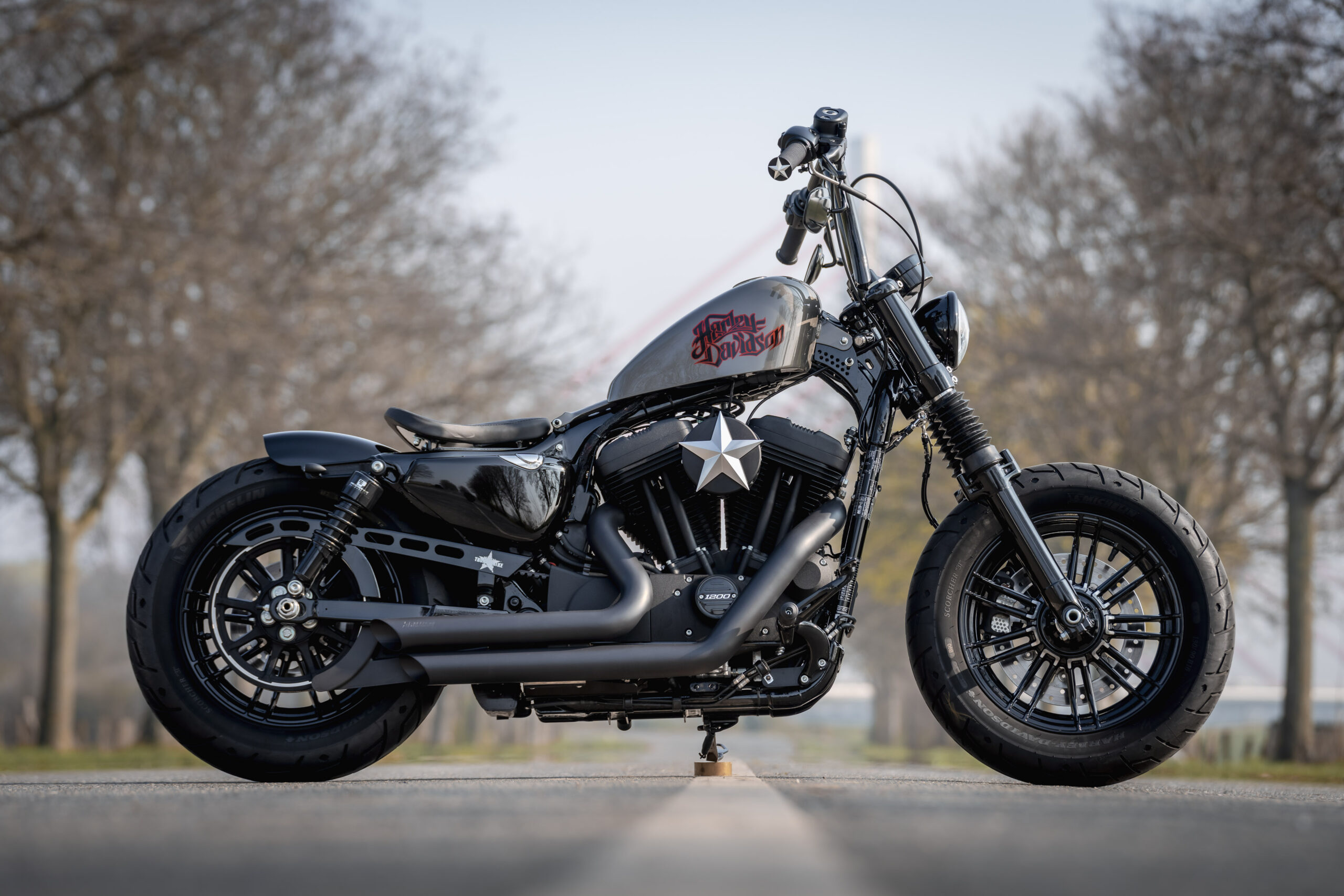 Customized Harley-Davidson Sportster Forty-Eight (48) XL1200X by