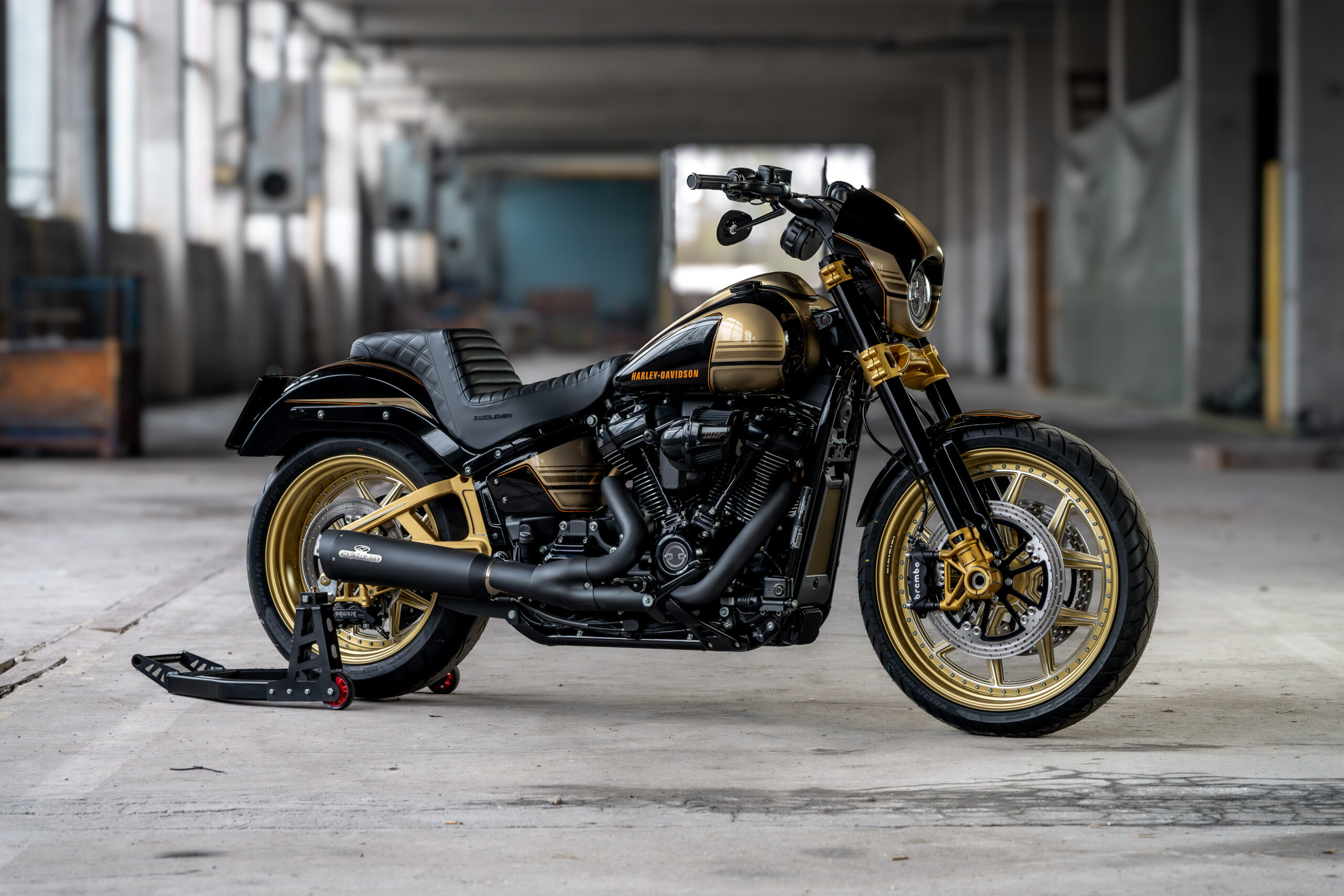 Thunderbike TRP-Pro • Harley-Davidson Low Rider S